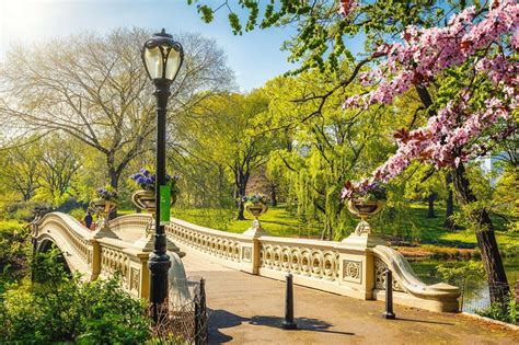 Tras haber sido uno de los parques más elegantes de la ciudad, Jardín de la Luz atrae a un público marginal y de bajos recursos