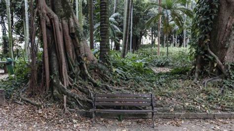 La privacidad que ofrecen estos bancos de plaza, escondidos entre árboles, permite que la mayoría de las prostitutas de Jardín de la Luz esconda su verdadera profesión de su familia