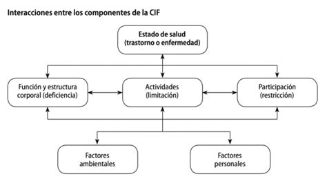 Esquema integral de los componentes de la CIF y sus interacciones