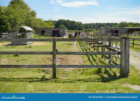 Fotografía de un establo en el campo inglés de Shropshire