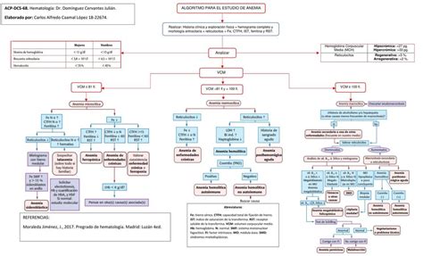 Algoritmo diagnóstico para la anemia en adultos mayores