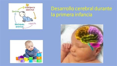 Gráfico comparativo del desarrollo cerebral de niños con exposición y sin exposición a pantallas en la primera infancia.