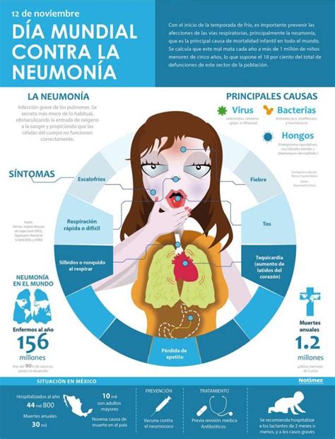 infografía sobre medidas de prevención de la neumonía en adultos mayores (vacunación, higiene, alimentación)
