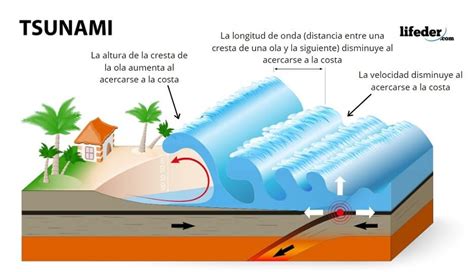 Infografía detallando los efectos de un tsunami en la costa y en el interior de las zonas afectadas.