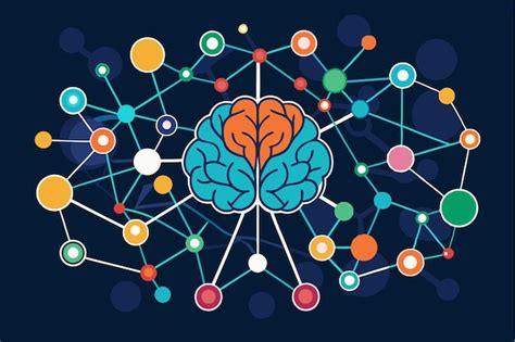 Esquema de las conexiones cerebrales implicadas en el procesamiento emocional
