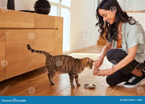 Foto de un cuidador de gatos alimentando a un gato en su hogar