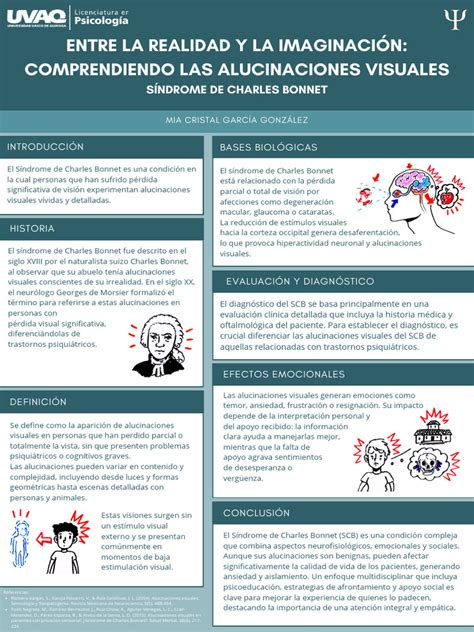 Infografía: Mecanismo de las alucinaciones en el Síndrome de Charles Bonnet