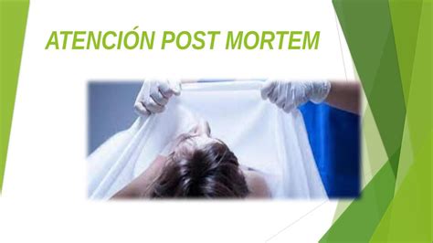 Esquema de los pasos de la atención post mortem en un entorno hospitalario