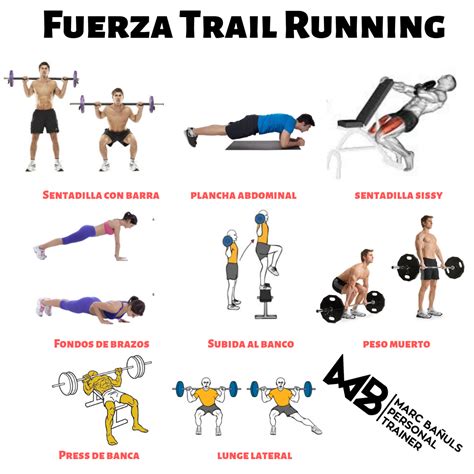 Diagrama de ejercicios de fuerza recomendados para corredores