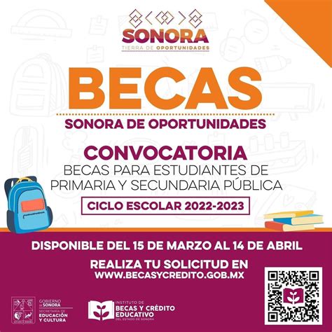 Gráfico de oportunidades de becas de postgrado