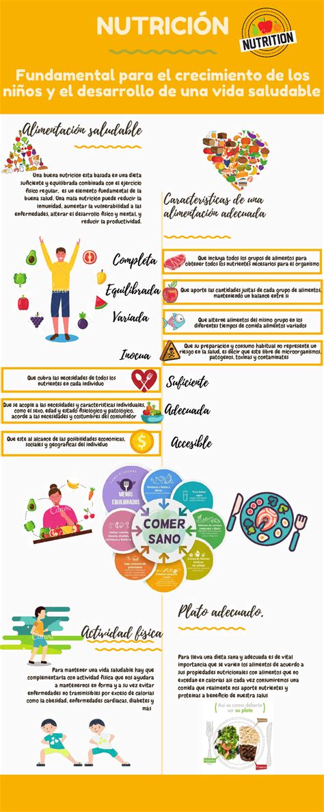 infografía sobre nutrición para personas mayores o esquema de una dieta equilibrada