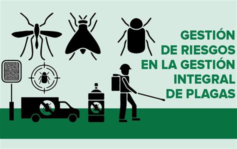 Infografía sobre los riesgos de plagas en entornos sanitarios