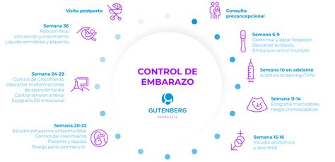 calendario de ecografías recomendadas durante el embarazo según la OMS