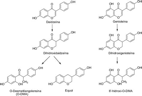 Estructura química de la genisteína y la daidzeína