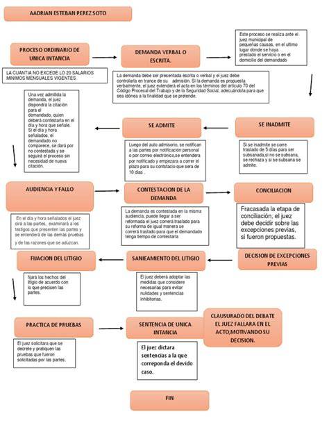 Gráfico de flujo del proceso judicial para el cuidado personal