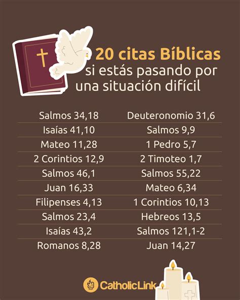 Infografía ilustrando las citas bíblicas y ejemplos de santos que inspiran la misión de Fundación Las Rosas.