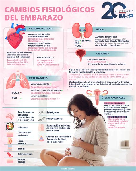 Infografía sobre los cambios fisiológicos en el sistema urinario con la edad