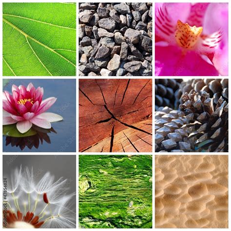 Foto de una variedad de objetos con diferentes texturas