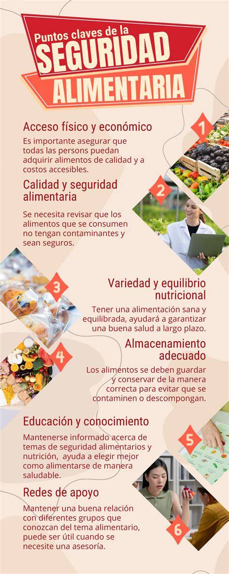 Infografía: Datos clave sobre seguridad alimentaria y consumo de alimentos en estudiantes chilenos