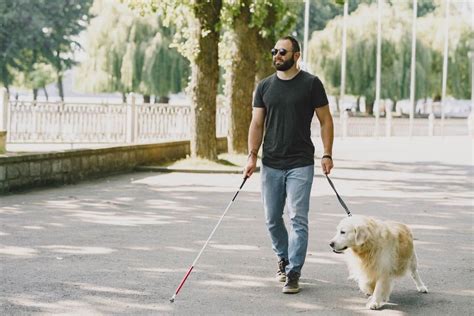 Foto temática de un perro guía asistiendo a una persona ciega cruzando la calle