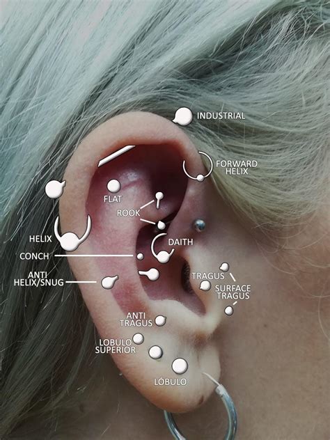 Esquema de las diferentes zonas de la oreja para piercings