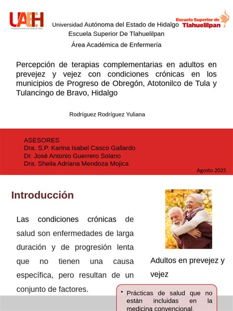 Infografía: Motivaciones principales para el uso de terapias complementarias en adultos mayores