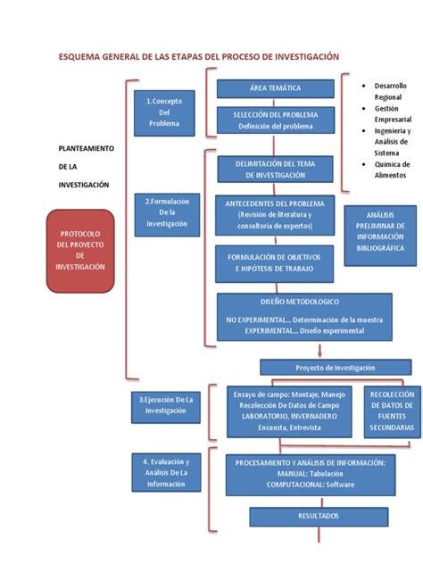 Esquema general de las etapas del proceso de posesión efectiva en Chile