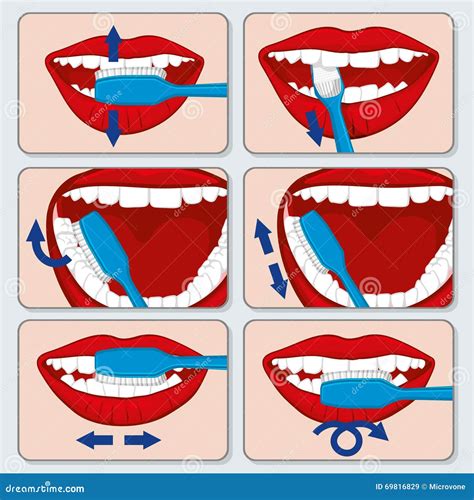 Ilustración detallada del proceso correcto de cepillado de dientes.