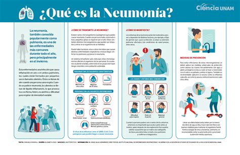 Infografía comparativa de los diferentes tipos de neumonía, destacando sus causas y características principales.
