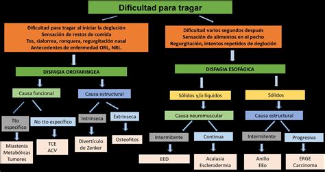Esquema de las causas y manifestaciones de la disfagia en pacientes paliativos