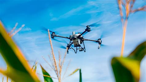 Equipo de búsqueda con dron en un embalse