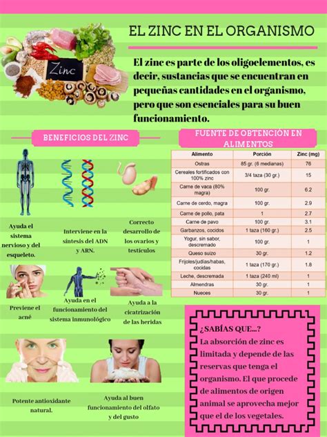 Infografía sobre los beneficios del zinc en diferentes sistemas del cuerpo humano.