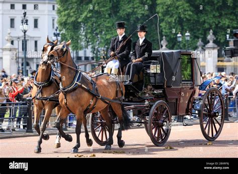 Tyrone, el caballo Windsor Grey, tirando del carruaje real