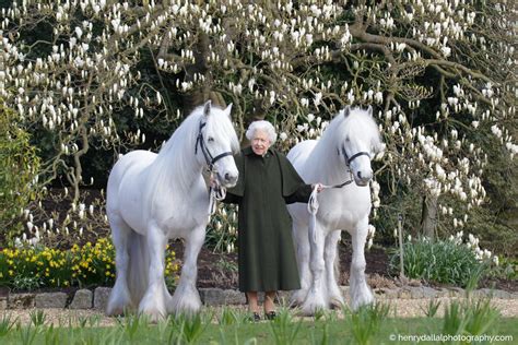 Reina Isabel II en su cumpleaños número 96 junto a sus ponis