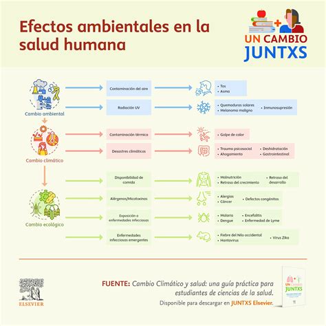 Esquema de las interacciones entre condiciones de salud, factores ambientales y personales que definen la discapacidad