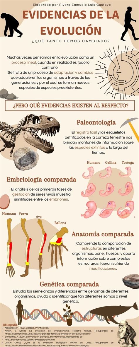 infografía sobre la evolución de la cantidad de afiliados de Colfondos y los activos bajo gestión