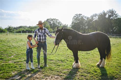 Padre e hijo petiseros cuidando un caballo en un haras