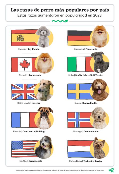 Foto de varias razas de perros recomendadas para apoyo emocional o asistencia