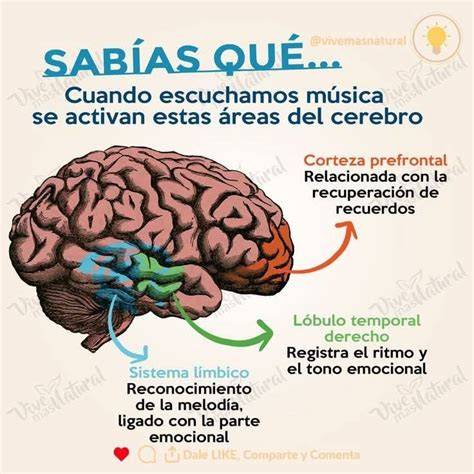 Infografía que muestra diferentes áreas del cerebro activadas por la música.