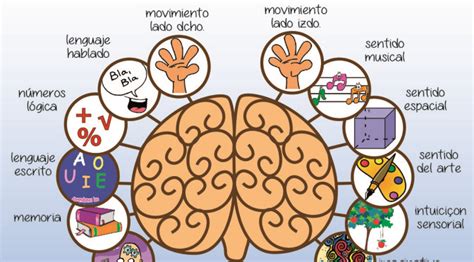 Esquema de las funciones cognitivas: memoria, atención, lenguaje y habilidades visoespaciales