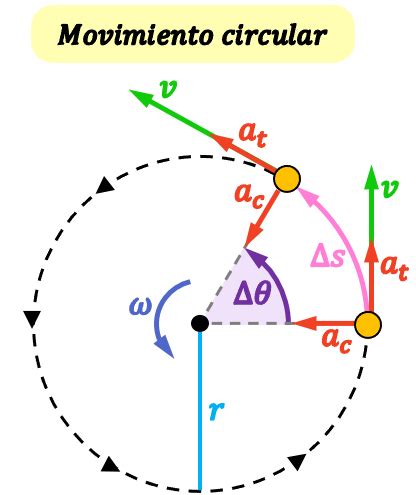 Diagrama mostrando la trayectoria circular del movimiento de glúteos