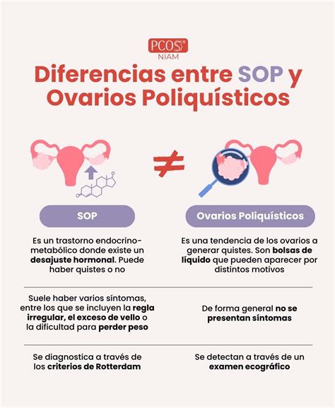 Infografía: Diferencias entre quistes ováricos funcionales y síndrome de ovario poliquístico