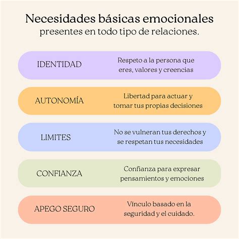 Esquema de las necesidades emocionales y espirituales del adulto mayor.