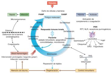 Esquema visual que muestra la progresión: Fármaco A -> Efecto adverso malinterpretado como síntoma -> Prescripción de Fármaco B (marcador) -> Nuevos efectos adversos.