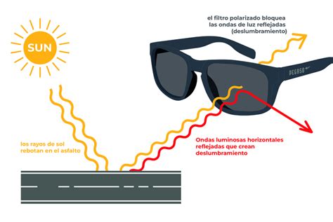 Infografía explicando cómo funcionan los lentes polarizados para eliminar el deslumbramiento.