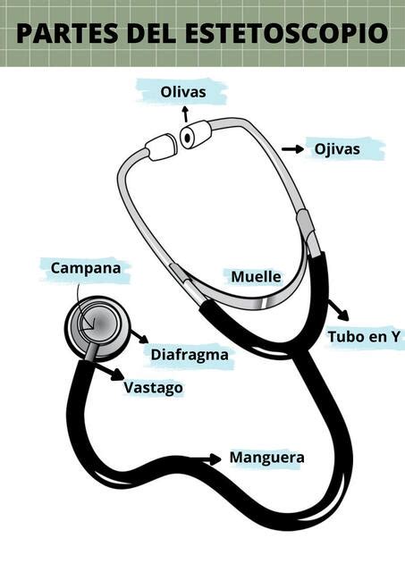 Diagrama de un estetoscopio con sus partes principales (diafragma y campana) y explicación de su uso.
