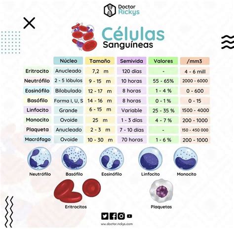 Gráfico mostrando la distribución de recuentos de células sanguíneas (glóbulos rojos, blancos, plaquetas) en pacientes con leucemia