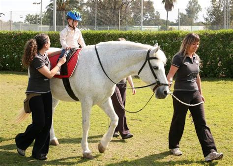Esquema de la interacción entre el niño, el caballo y el terapeuta en equinoterapia