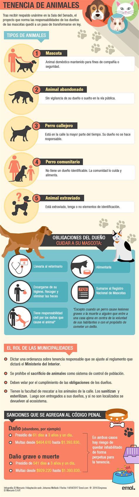 infografía sobre responsabilidades de dueños de mascotas en Chile