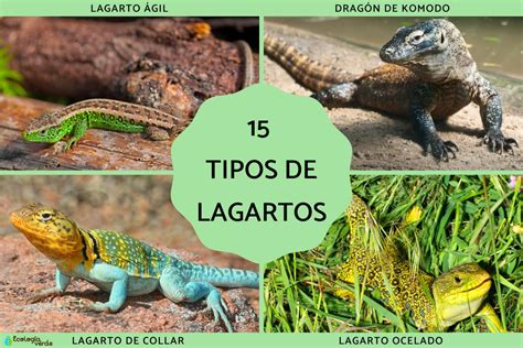 Imagen de El Lagarto con sus garras y cola distintivas